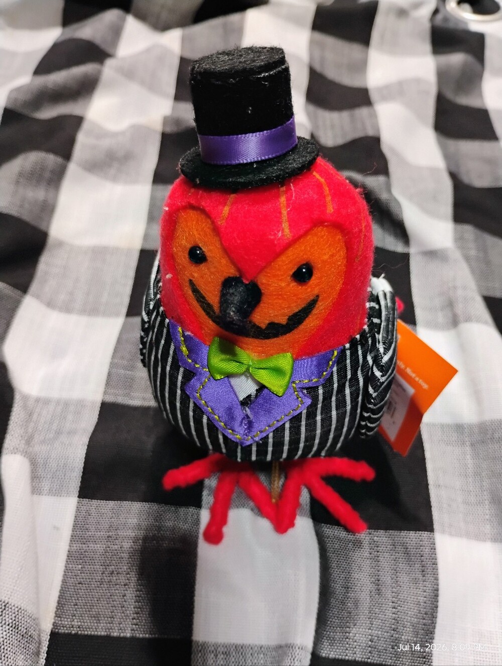❤️Halloween Dressed Bird with Top Hat and Bow